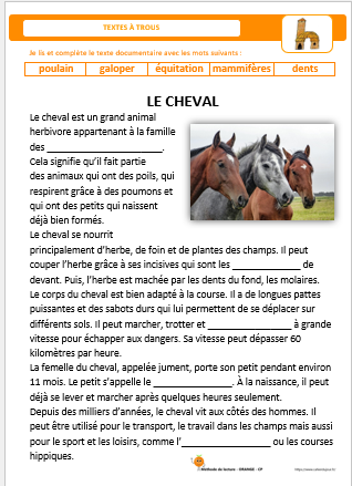 43-image-la lettre H-texte-ORANGE-niveau commun-2026